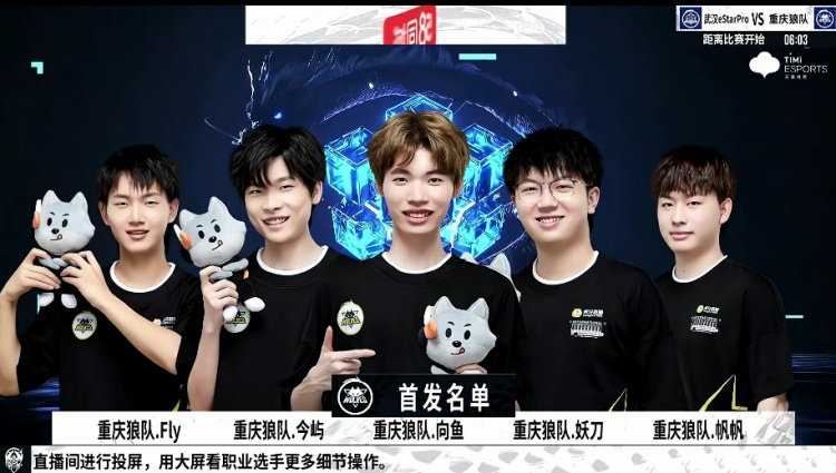 后卫拉波尔
