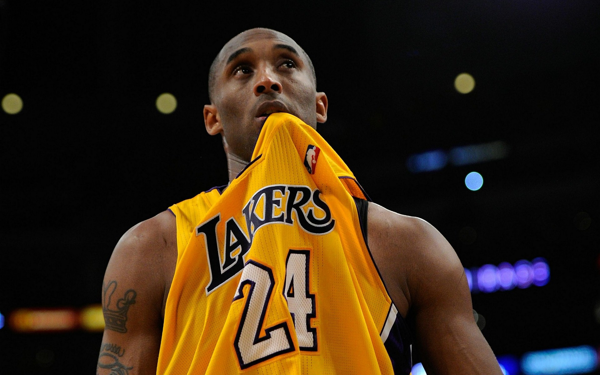 只是众多潜 只是众多潜